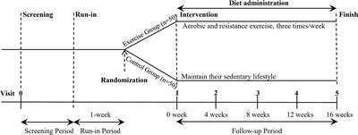 Effects of Exercise Intervention on Type 2 Diabetes Patients With Abdominal Obesity and Low Thigh Circumference (EXTEND): Study Protocol for a Randomized Controlled Trial